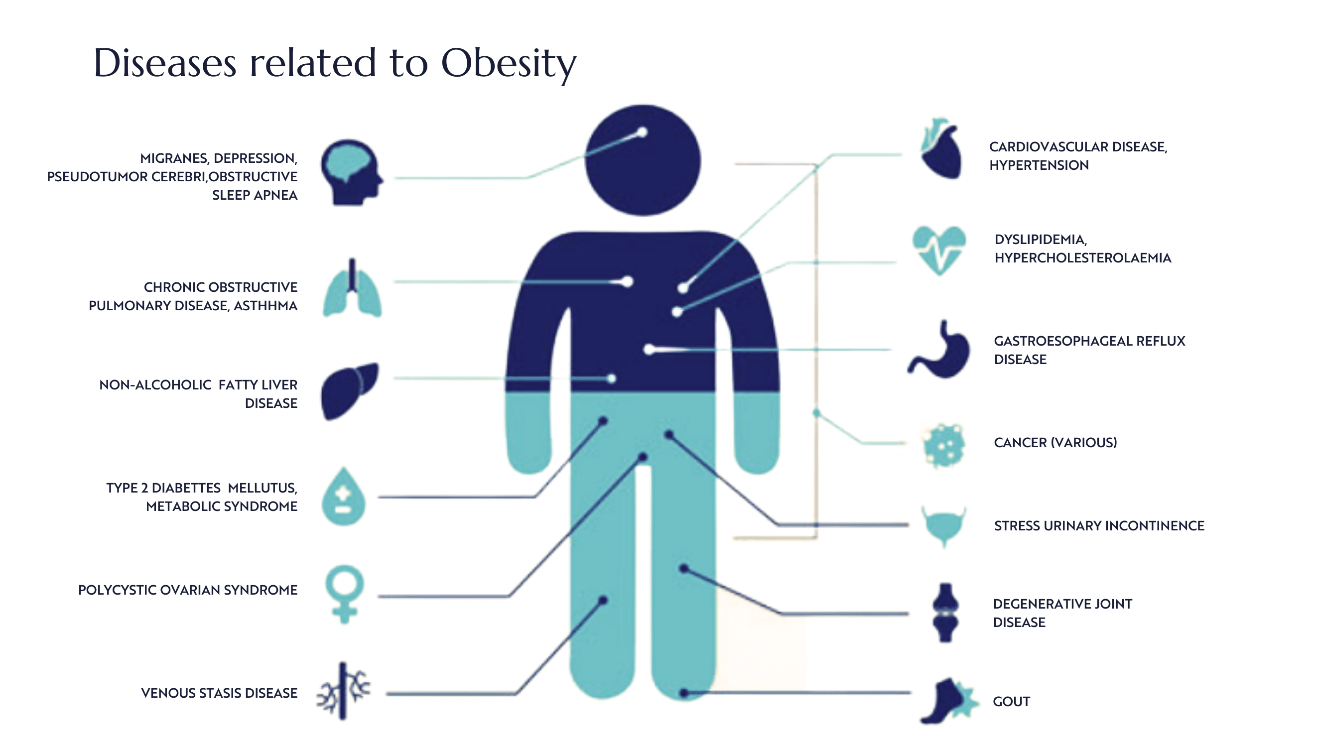 Diseases related to Obesity (1)